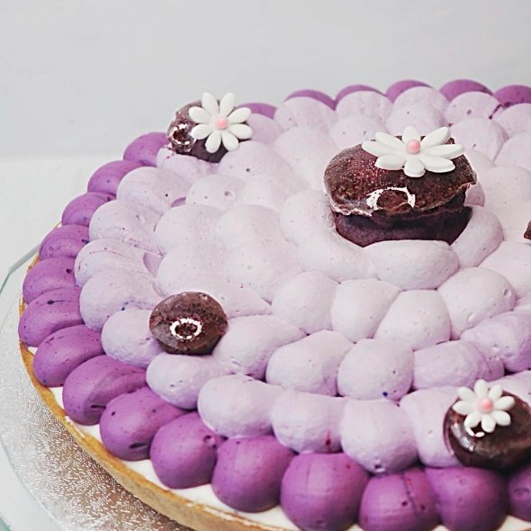 Délice Myrtilles Violette (touche de matcha)